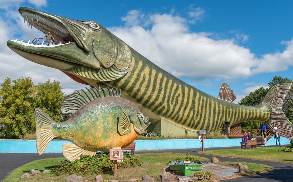 freshwater-fishing-min