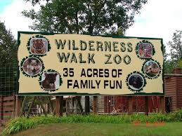 wilderness-walk-min